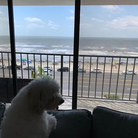 Amazing And Spectacular Ocean And Beach Views In Galveston Exterior foto