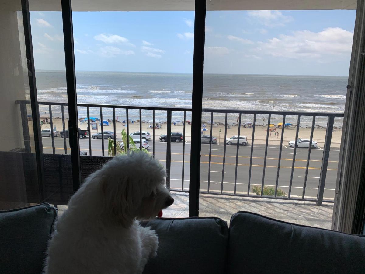 Amazing And Spectacular Ocean And Views In Hébergement de vacances Galveston