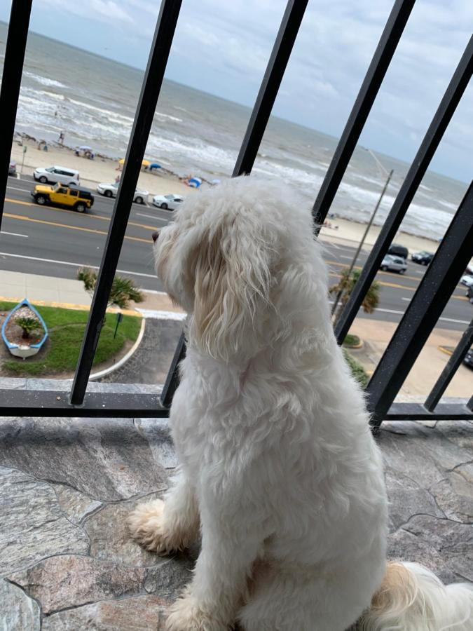 Amazing And Spectacular Ocean And Views In Hébergement de vacances Galveston